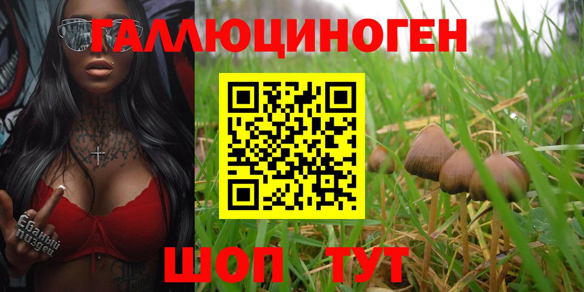 Галлюциногенные грибы мицелий  Вход с VPN  Ногинск  Галлюциногенные грибы мухоморы 